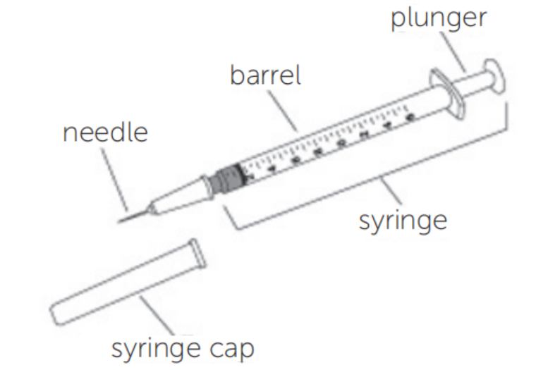 Picture describing Syringe parts